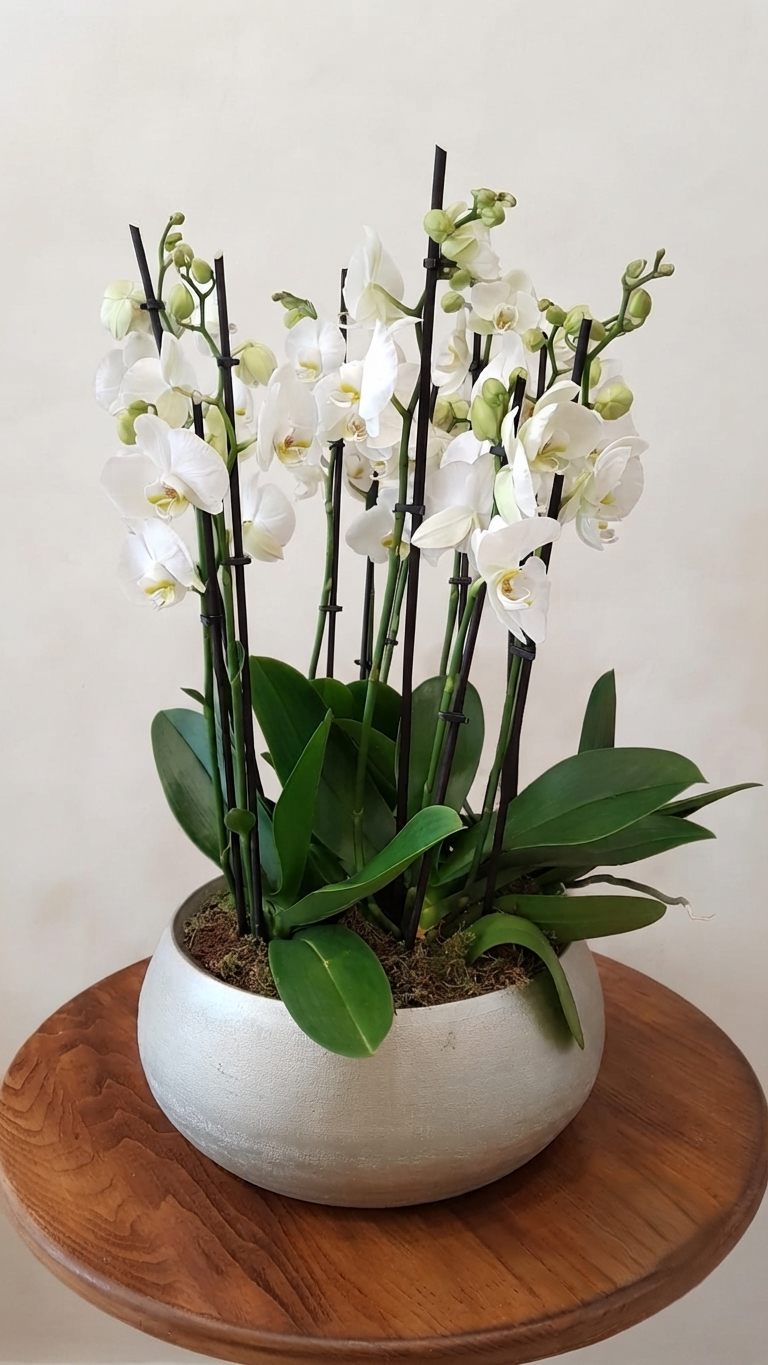 Thank you flowers